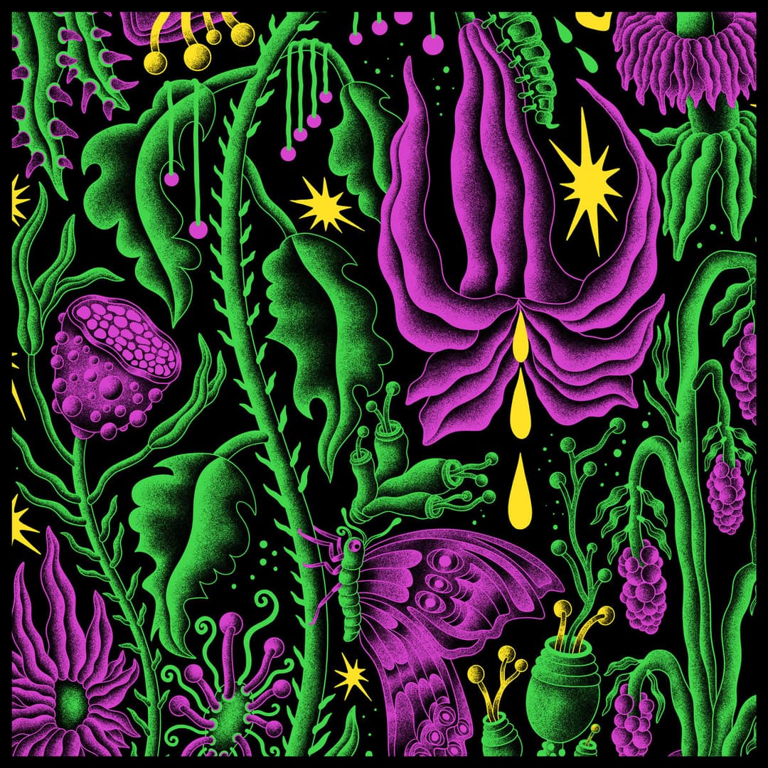 Album cover for Tilburg, Netherlands '25